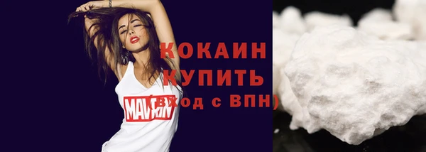 МДПВ Навашино